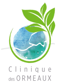 Green Bloc 2025
			Un pas de plus vers une santé durable